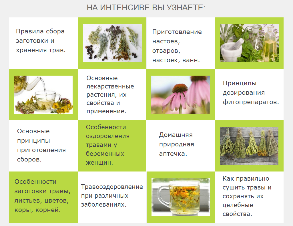 Травы для здоровья всей семьи на каждый день - Зим_0.png